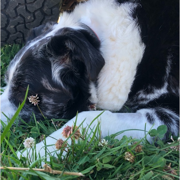 Meet your Posher, Courtney - Picture 5 of 11